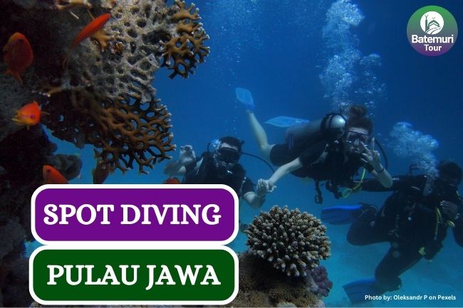 Tak Kalah Indah, Ini Dia 6 Spot Diving Terbaik di Pulau Jawa